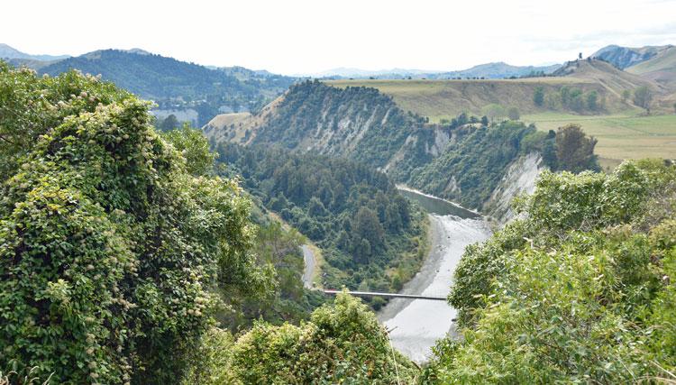 View over the Rangitikei river