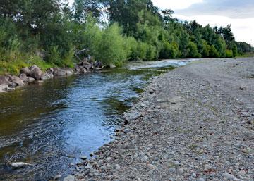 The Oroua river