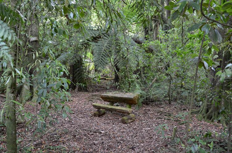 Picnic area inside the bush reserve