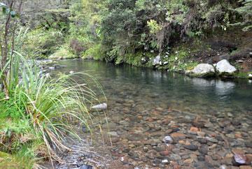 Whakapapa River