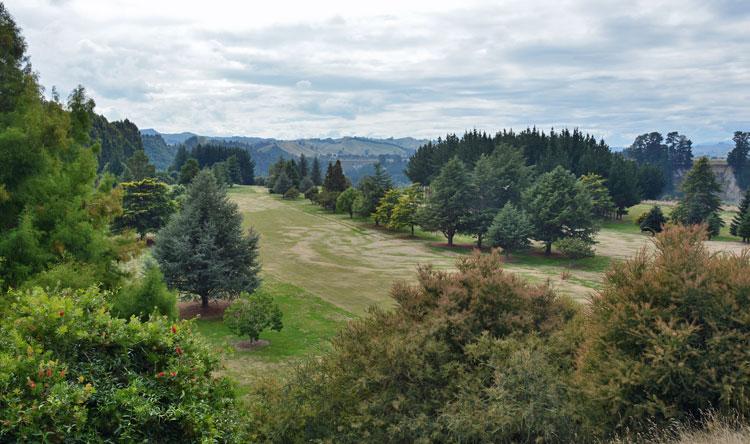 View over the golf course