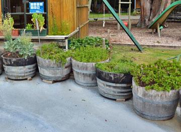 Herb garden for guest use