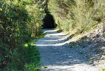 Track leading to the waterfall