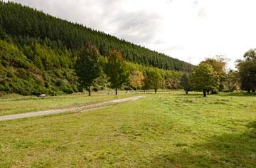 Norris Gully reserve