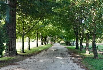 Driveway to the rear camping area