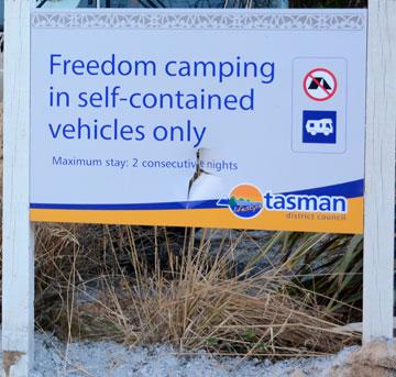 Freedom camping sign