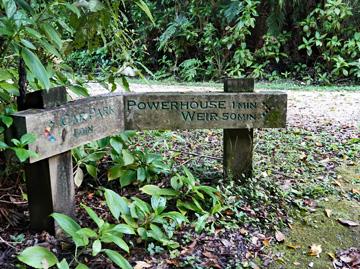 Access to the walking track around the lake