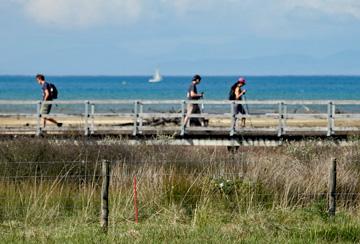 Walking track along the beachfront