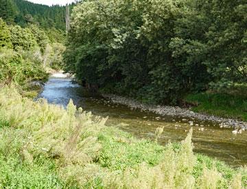 Stream running alongside the domain