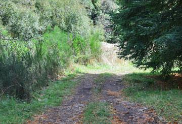 Access to the river