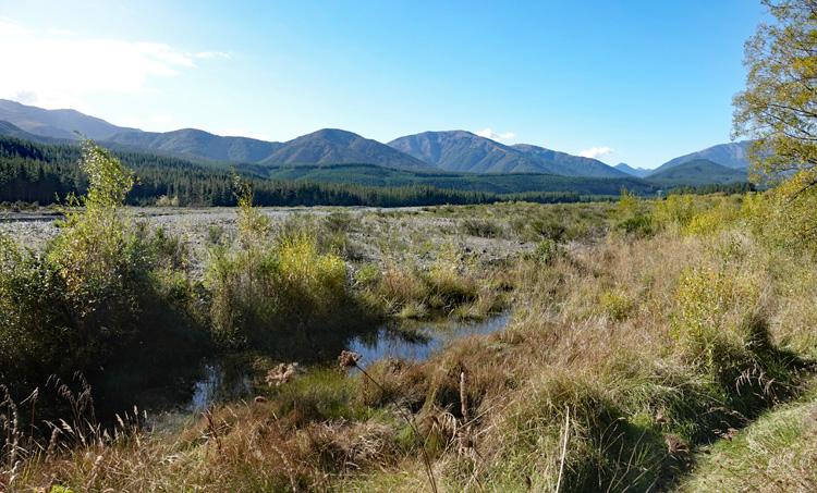 View over the river