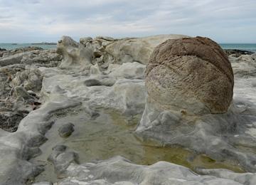 One of the Ward Beach Boulders