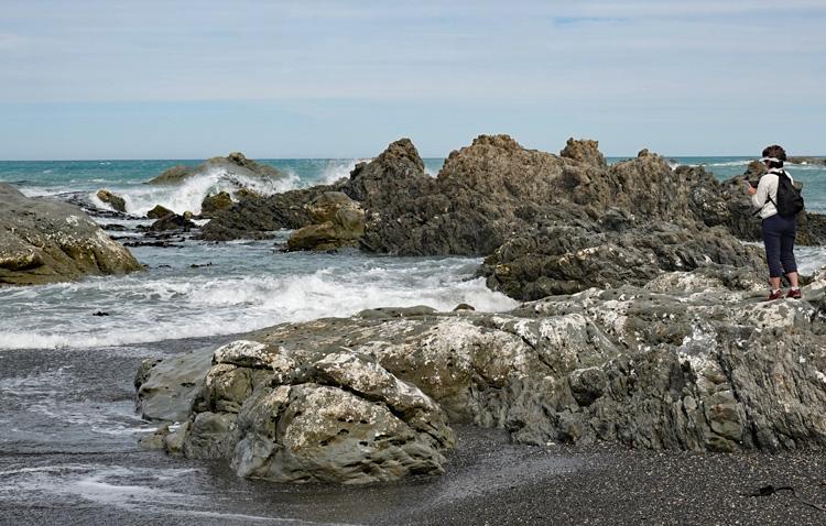 Wild rocky foreshore near the northern end of Ward Beach