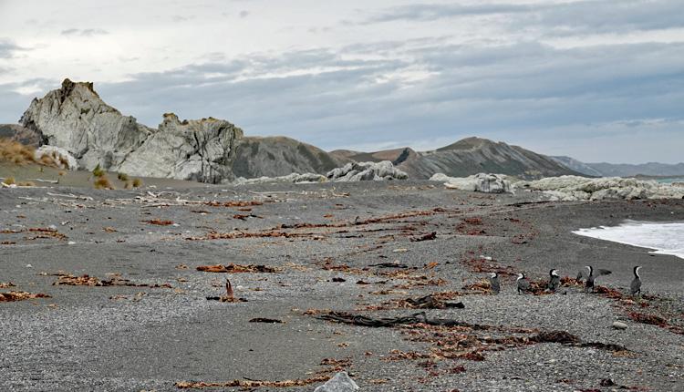 Limestone and fossil rocks in the distance