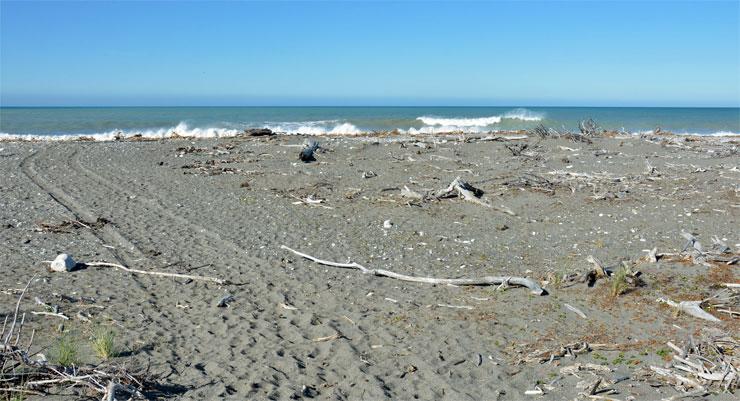 A rugged beach