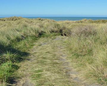 Track to the beach