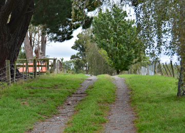 Driveway to the campsite entrance