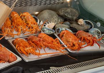 Freshly cooked lobsters available in the cafe