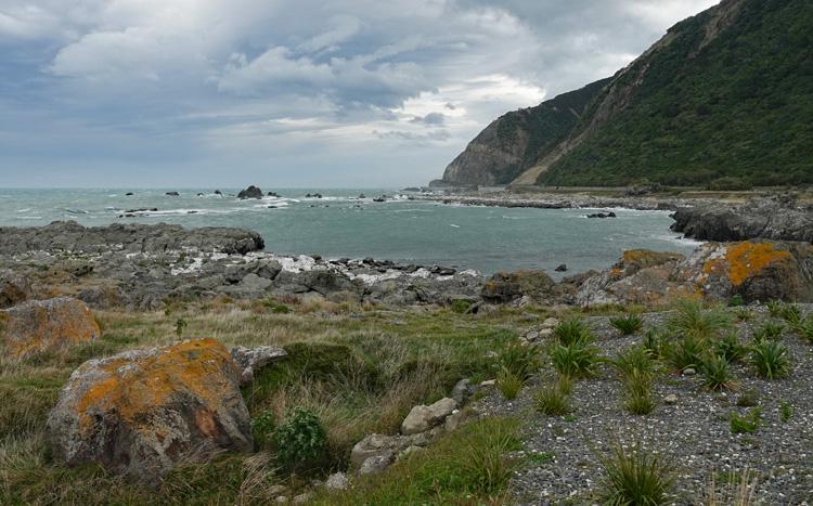 Harbour overlooked by Paparoa Point