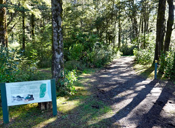 Entrance to the walking track