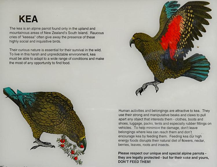 Kea sign