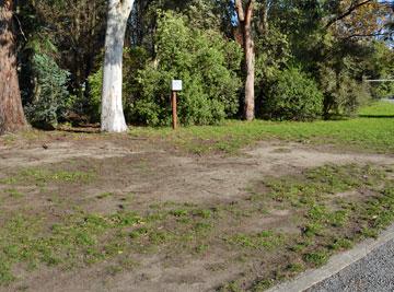 Grass parking area