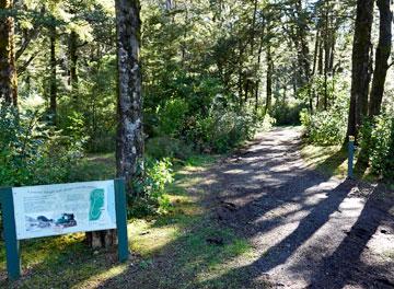 Entrance to the walking track