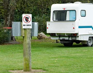 Campsite parking