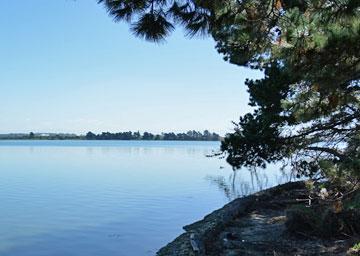 South Brighton Estuary