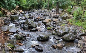 River running alongside the campground