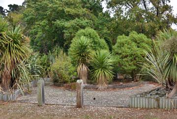 Garden featuring native plants grown in the nursery