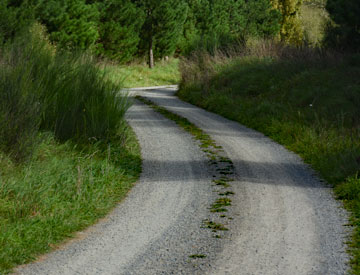 Gravel driveway leading to the reserve