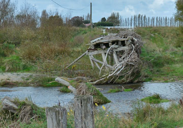 Accumulated debris in the river