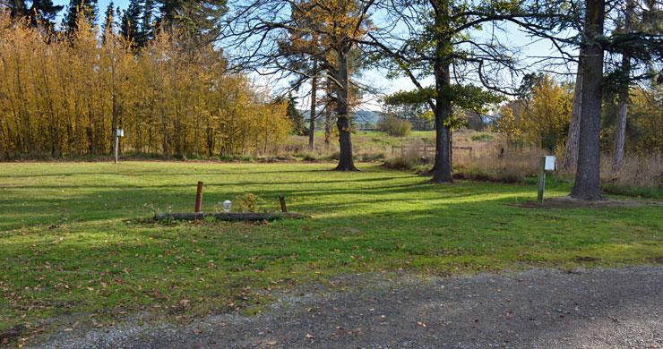 Campsite area with powered sites