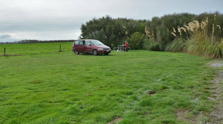 Grass parking area