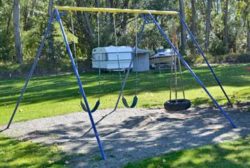 Swings for the kids