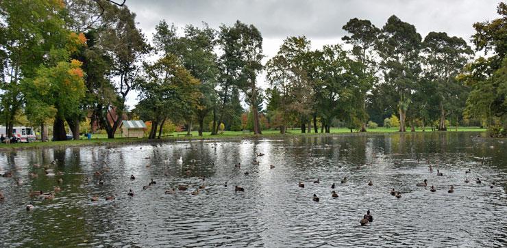 Tinwald Domain Lake