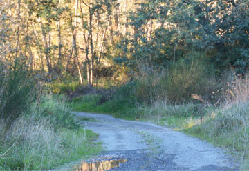 Entrance to the parking area