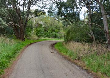 Driveway to access the reserve from Leader Rd