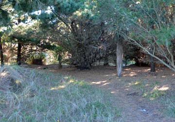 Access to the beach