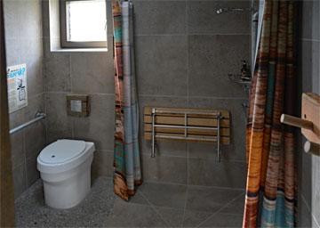 Combined shower and toilet