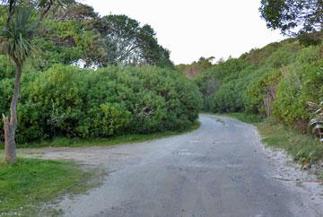 Driveway down to more beach parking