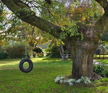 Swinging Tyre