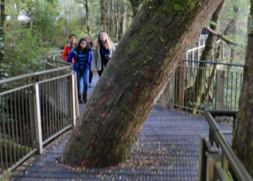 Walkway to the Mirror Lakes