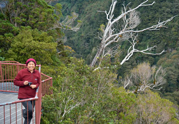 Viewing Platform