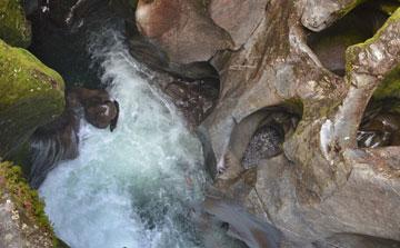 Sculpted rock in the Chasm