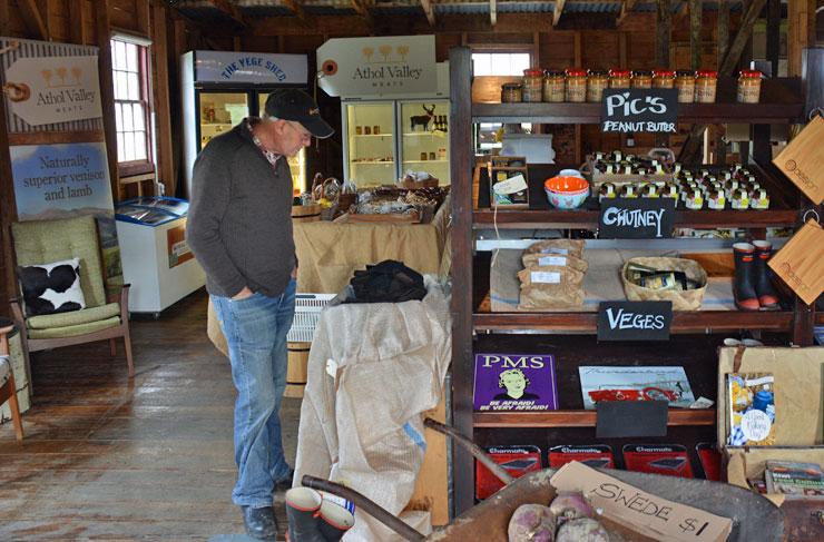 Inside the Vege Shed