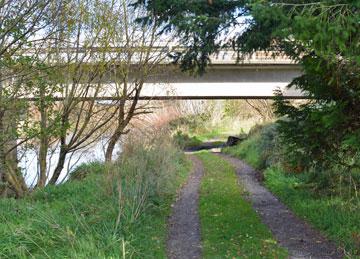 Road under the bridge