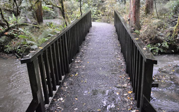 Bridge near the start of the walk to the falls