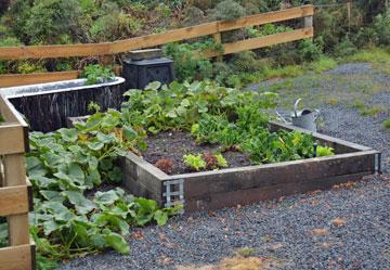 Garden vegetables for guests